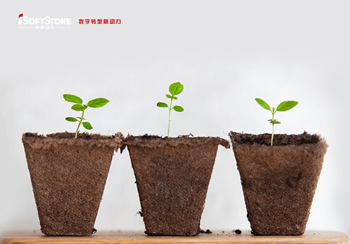 学術的継続可能の革命精神で地方の子供たちに愛を渡す——iSoftStoneは再び公共福祉教育を支援する。。。。。