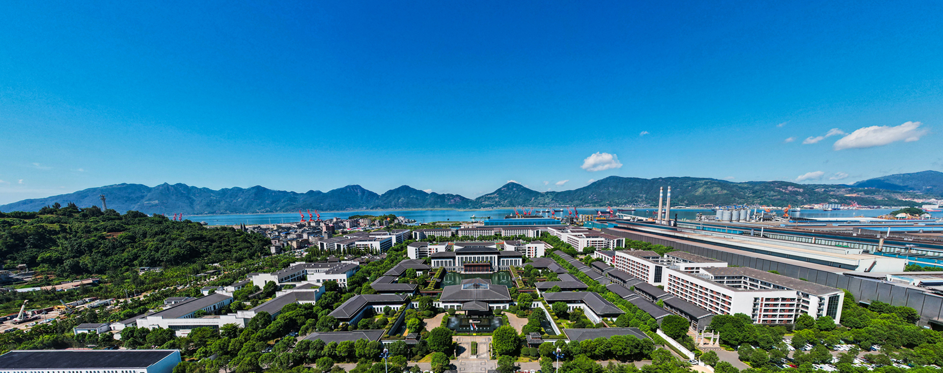 优发国际随优而动一触即发介绍